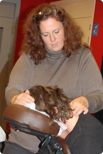 stoelmassage assen drenthe werkplekadviseur